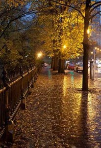 Rainy Sidewalk