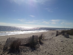 Sands On A Winter Beach